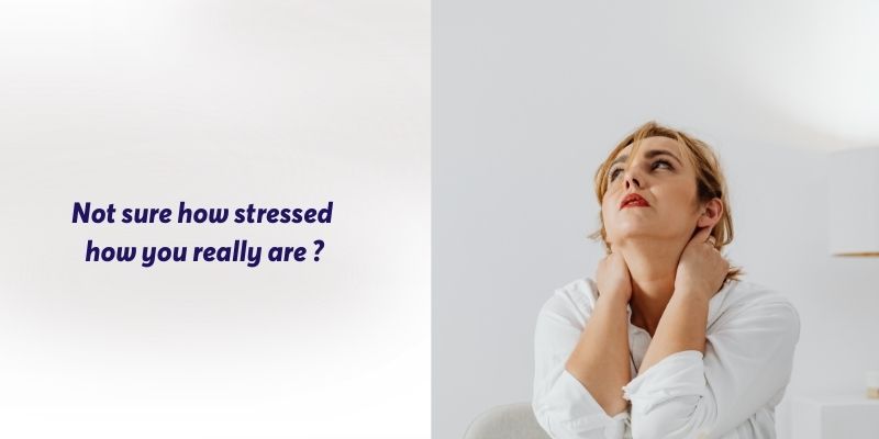 Free Online Stress Assessment