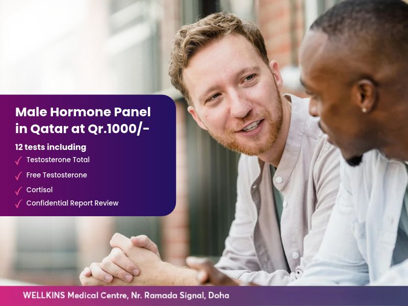 Male Hormone Panel at Wellkins Medical Centre in Doha, 12 tests including testosterone with a confidential report review